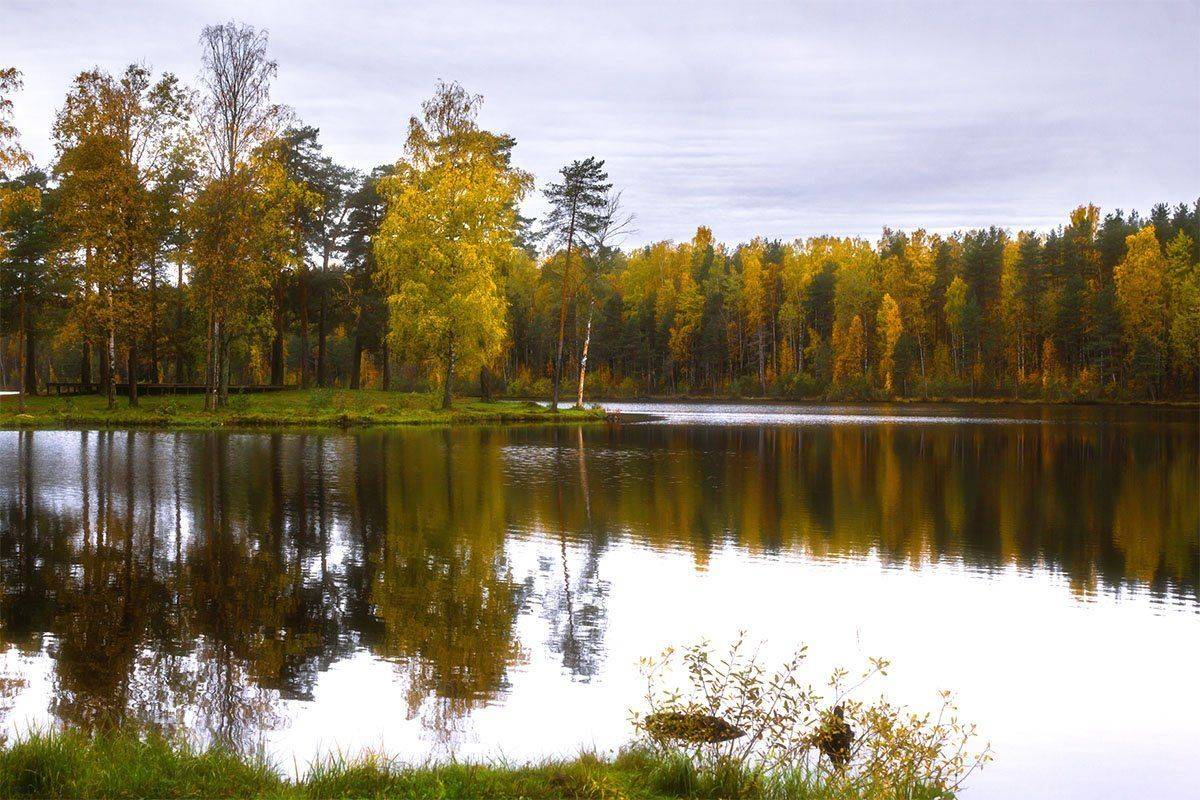 , Алексей Герасимов