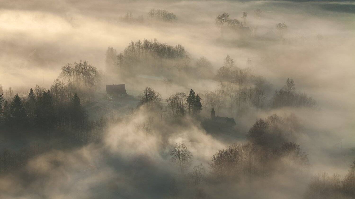 landscape,canon,mist,light,autumn, Iza i Darek Mitręga