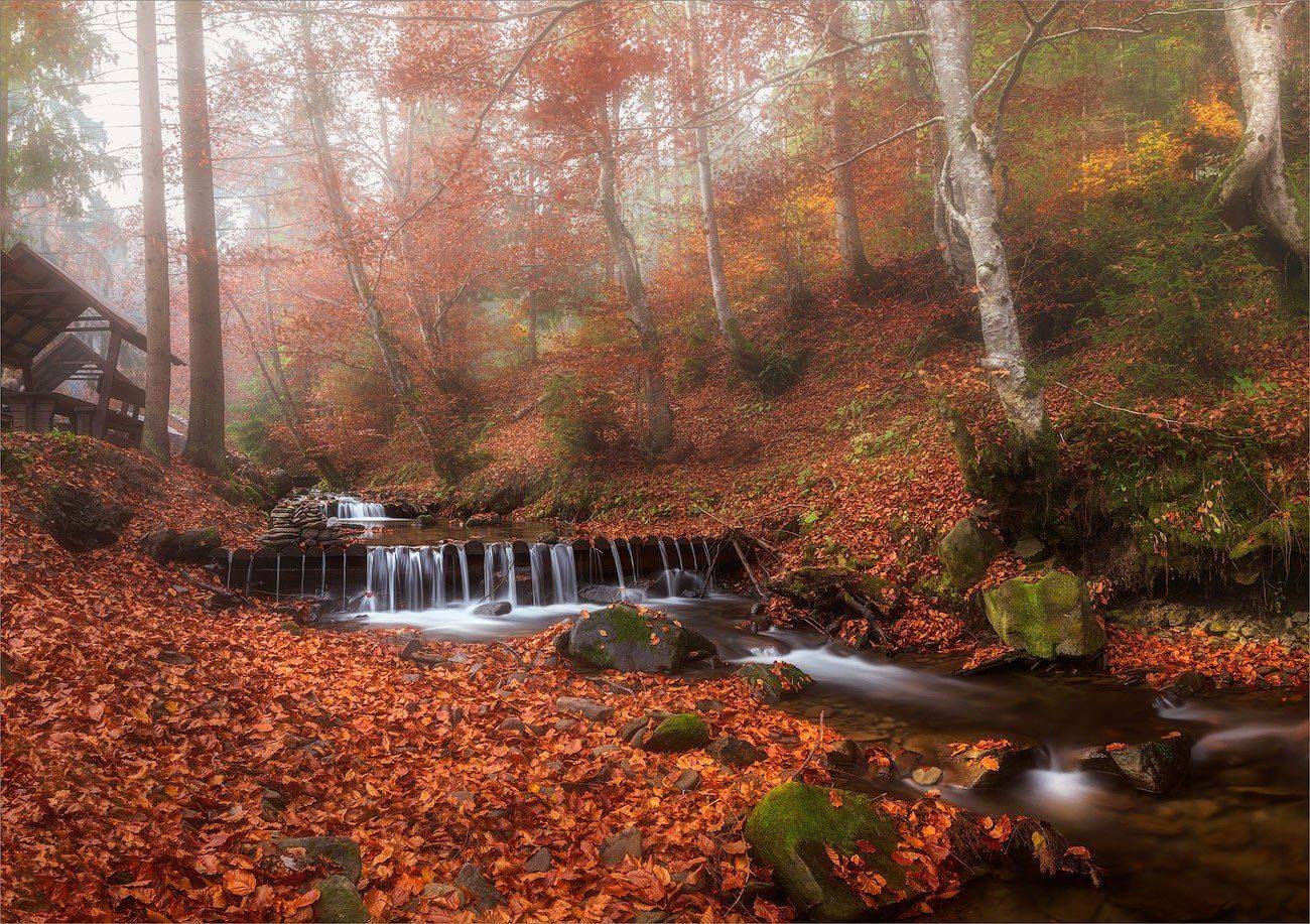 , Рудченко Анатолий