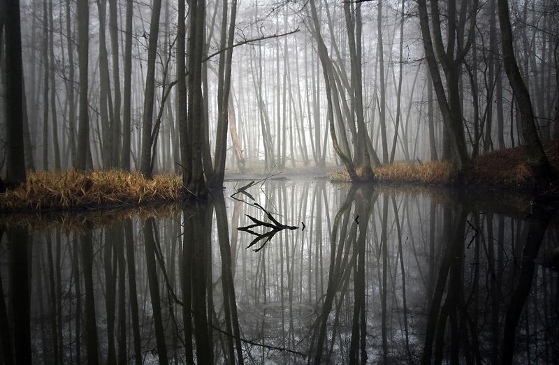 ... фото превью