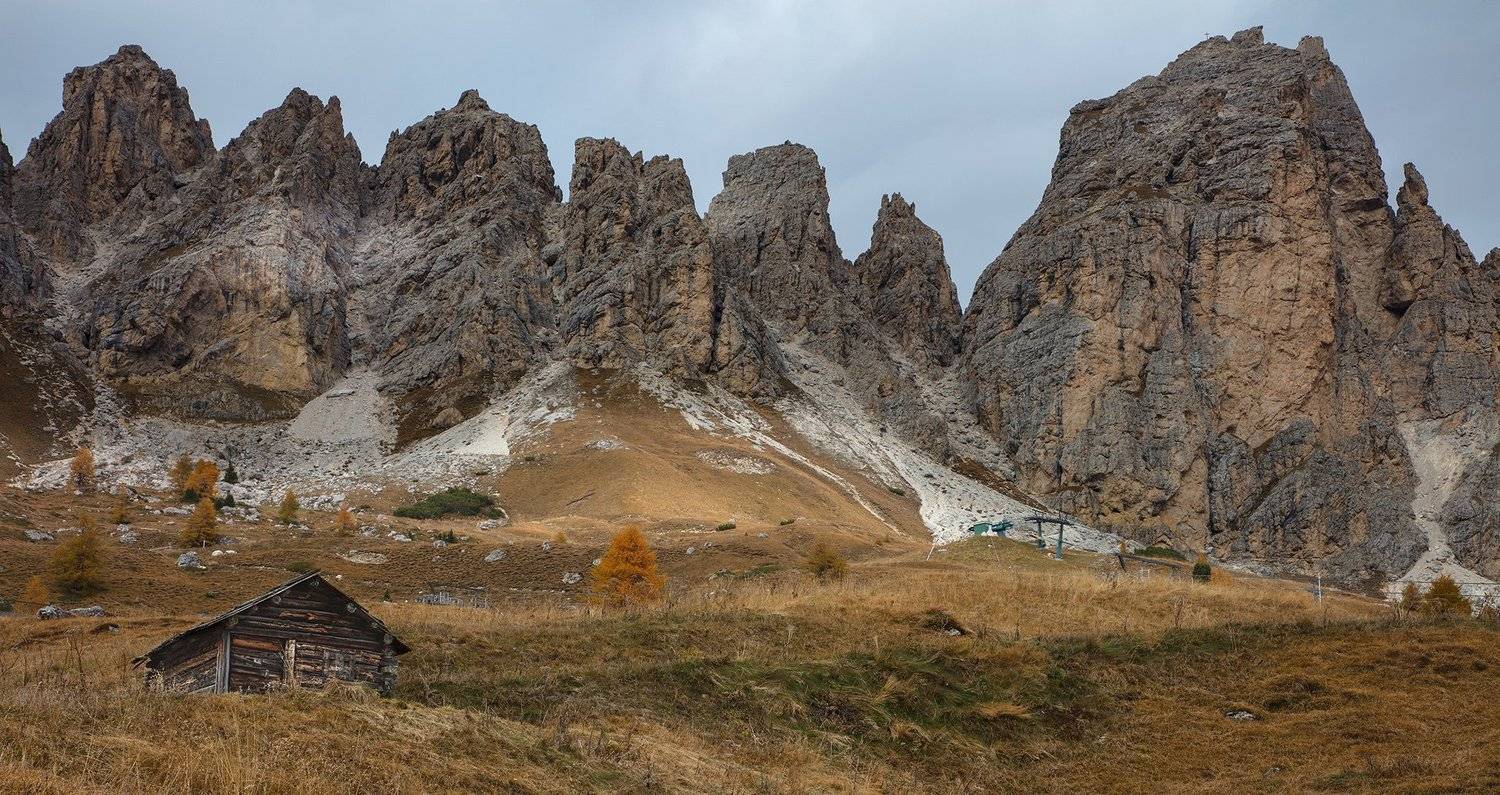 , Игорь Дубровский