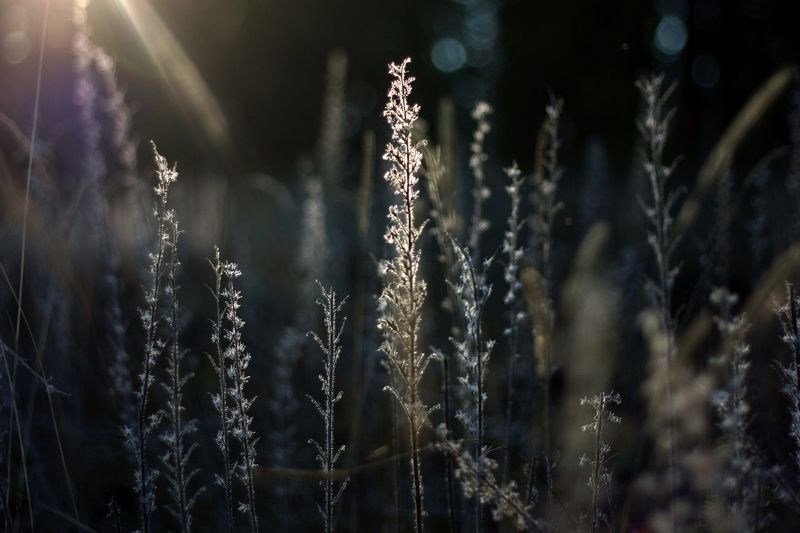 Октябрь фото превью