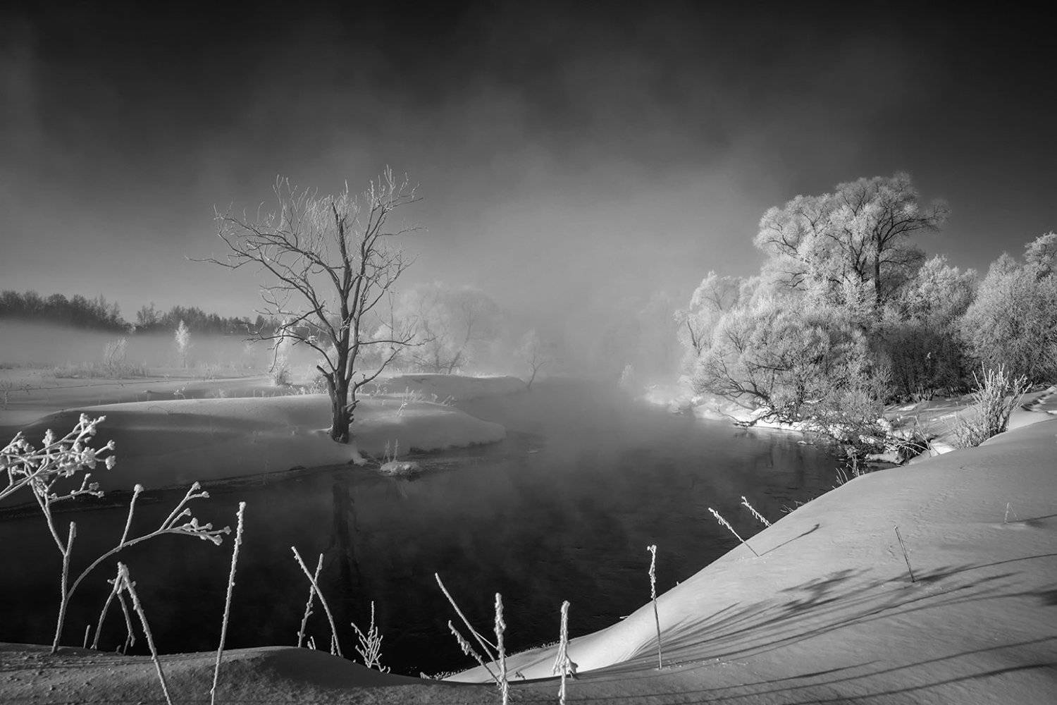 , Анатолий Зверев