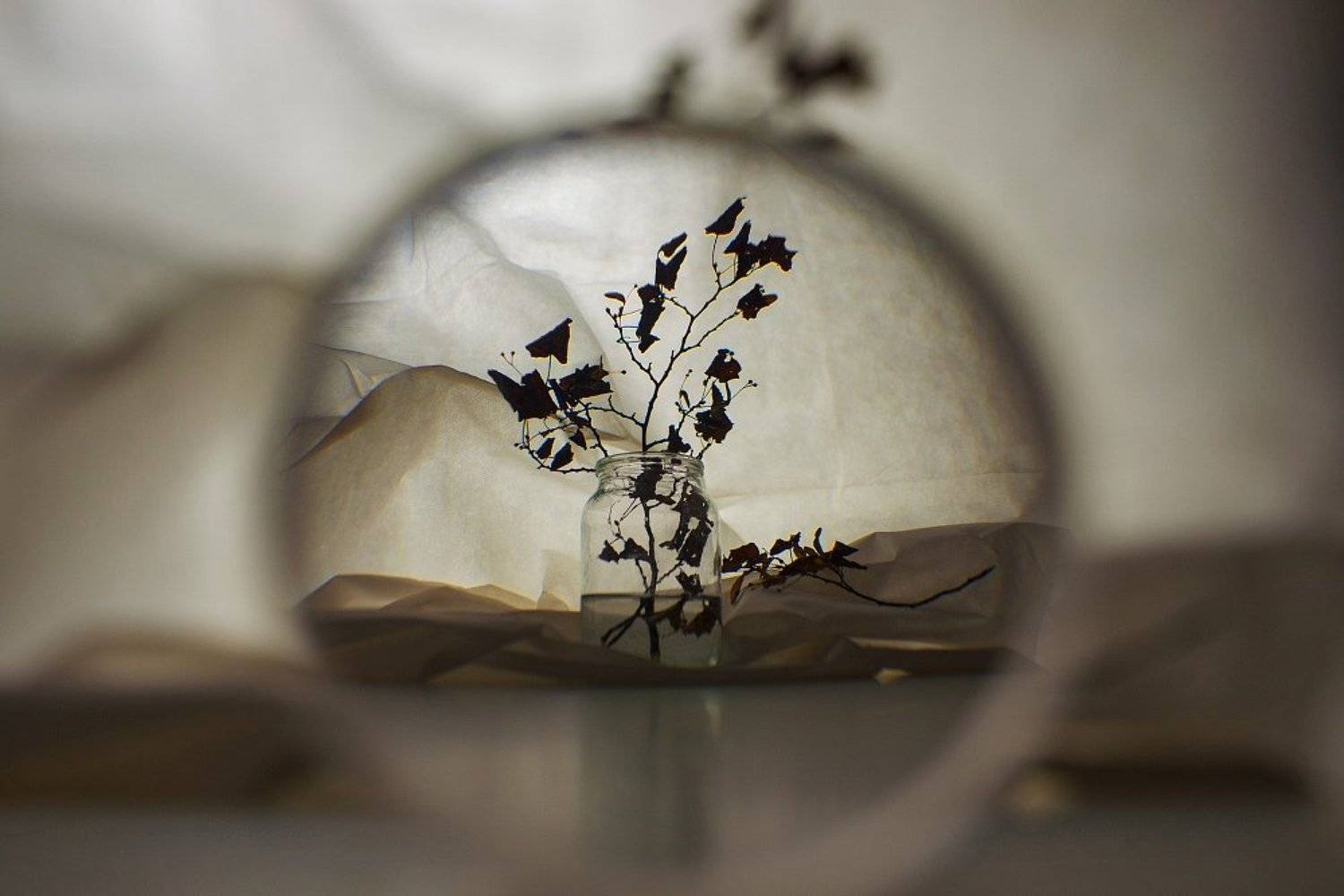 , Алёна Таланова