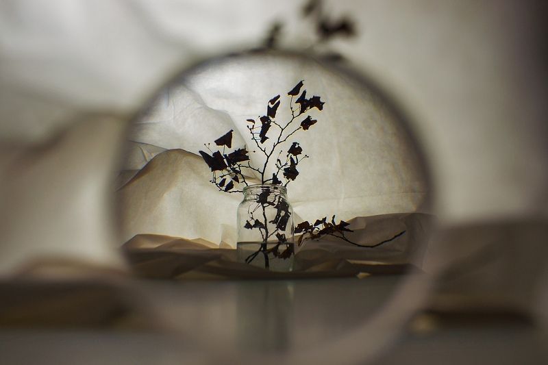 Через линзу фото превью