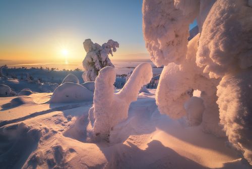 Снежные скульптуры Заполярья