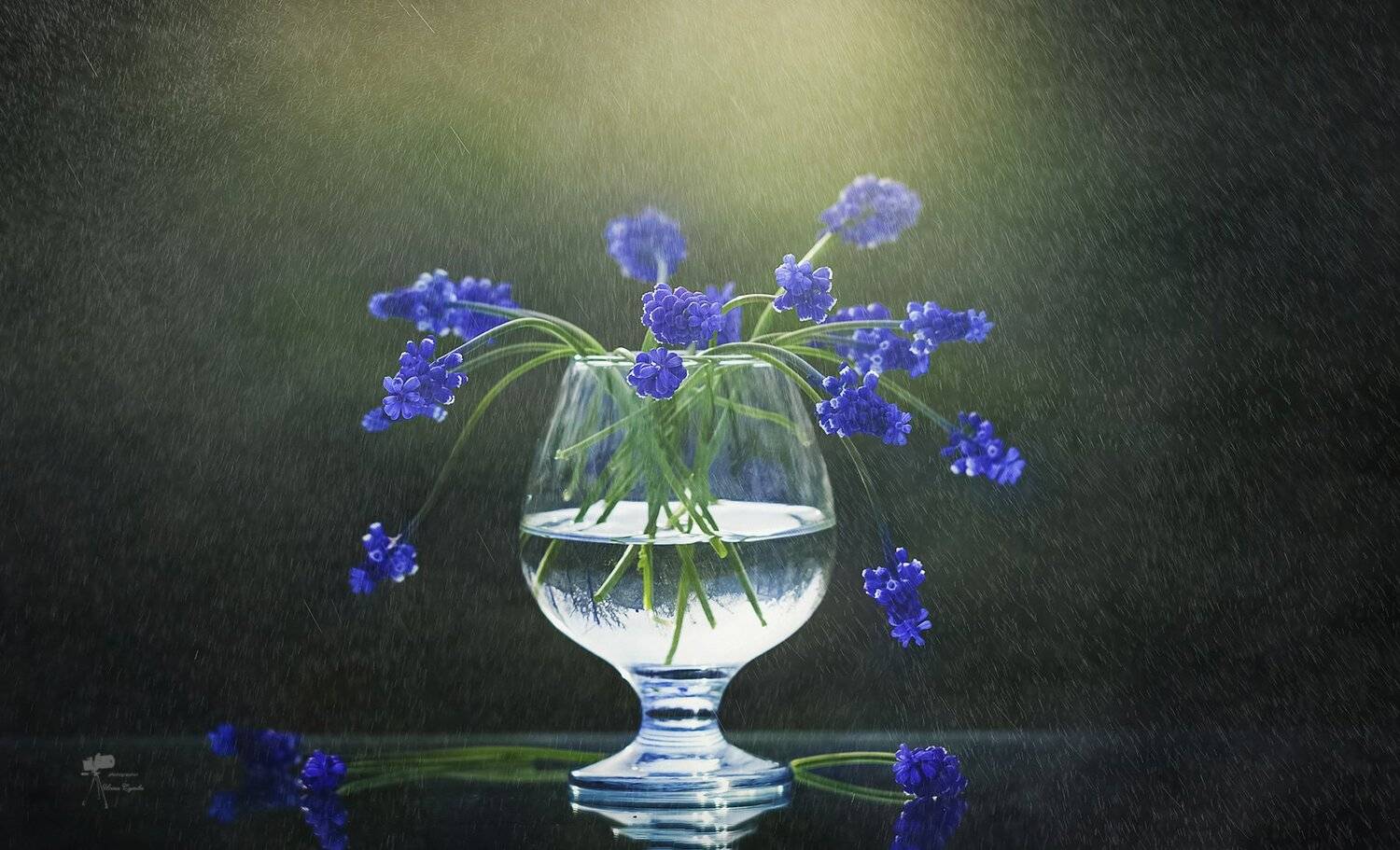 , Инна Сухова