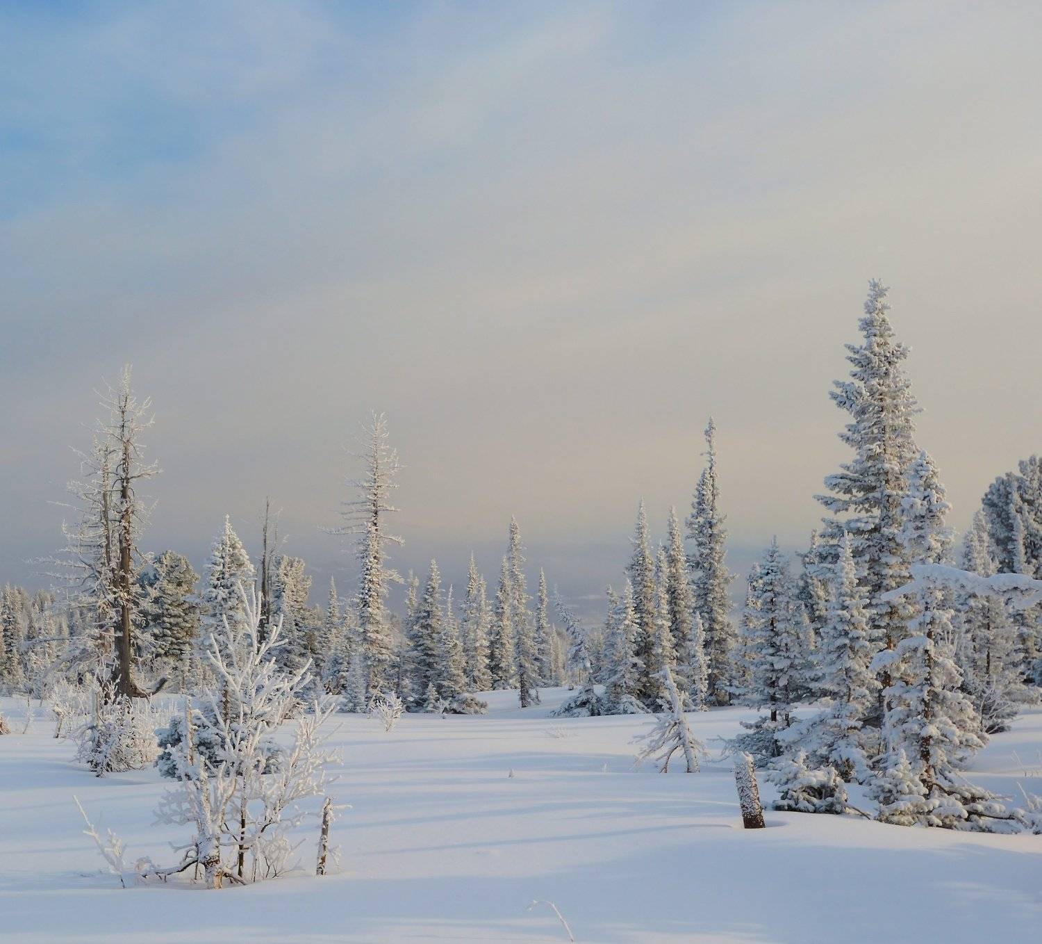шерегеш, Сергей Седов