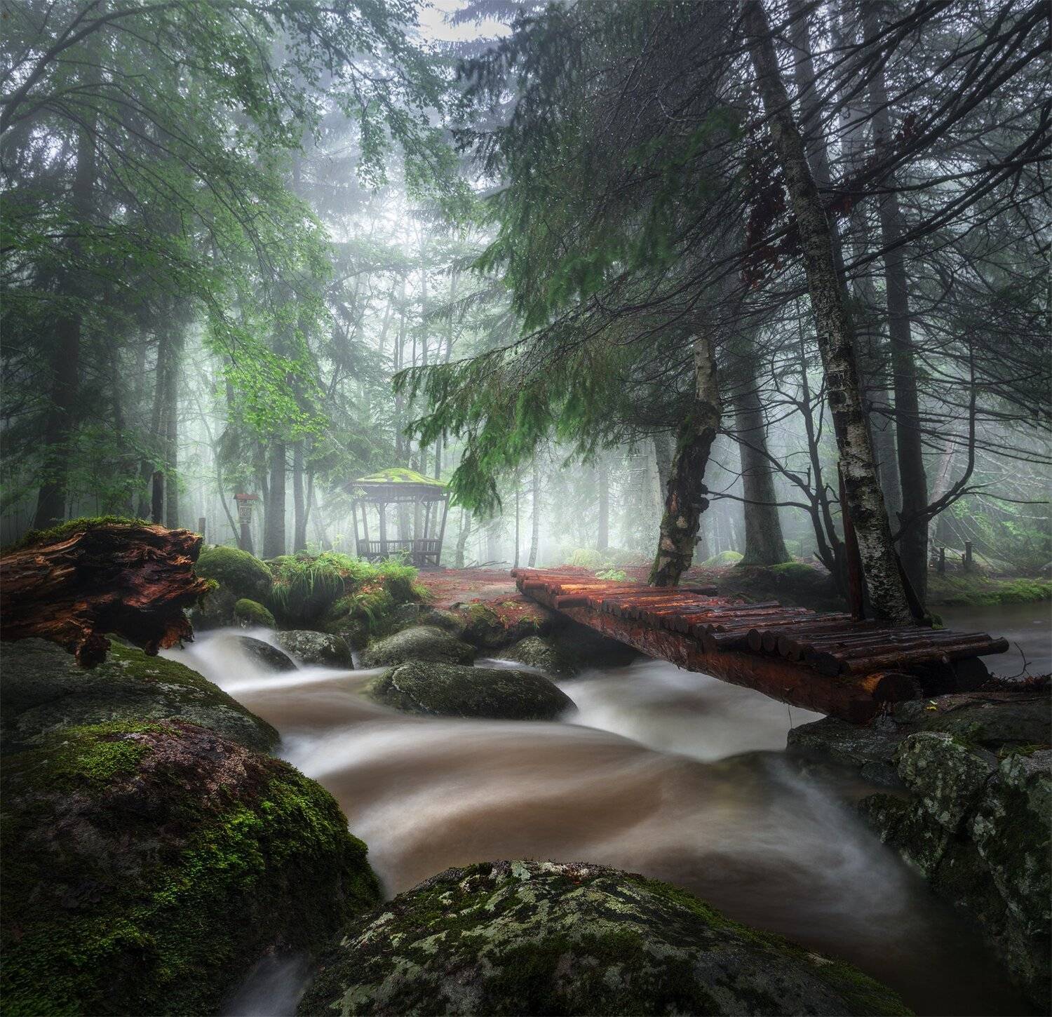 landscape nature scenery forest wood autumn mist misty fog foggy river bridge longexposure mountain vitosha bulgaria туман лес oсень, Александър Александров
