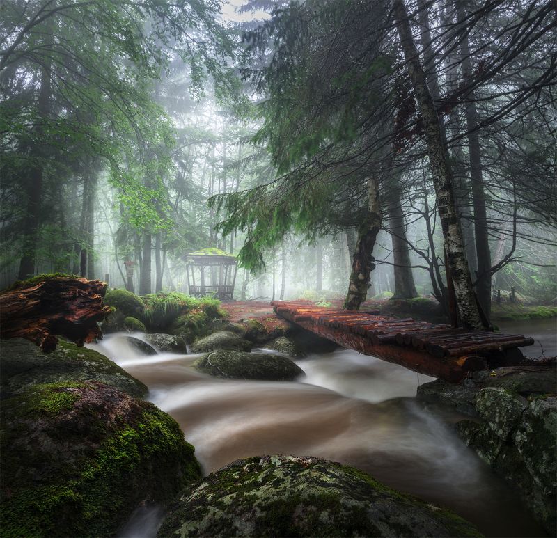 Rainy July фото превью