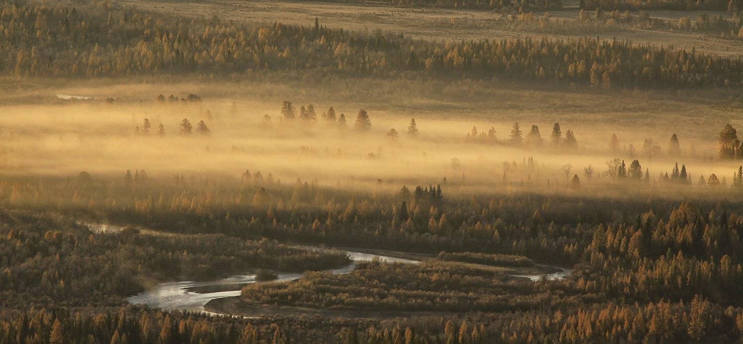 алтай, горный алтай, курайская степь, курай, утро, туман, чуя, Галина Хвостенко