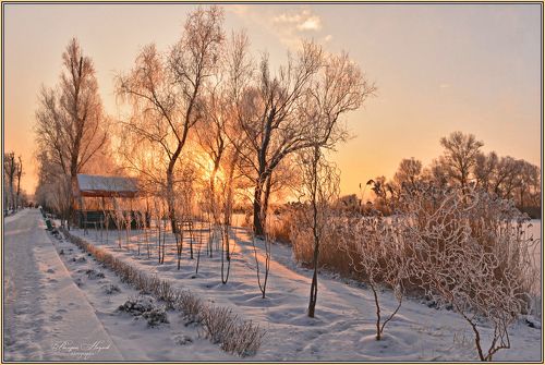 В последнее утро зимы