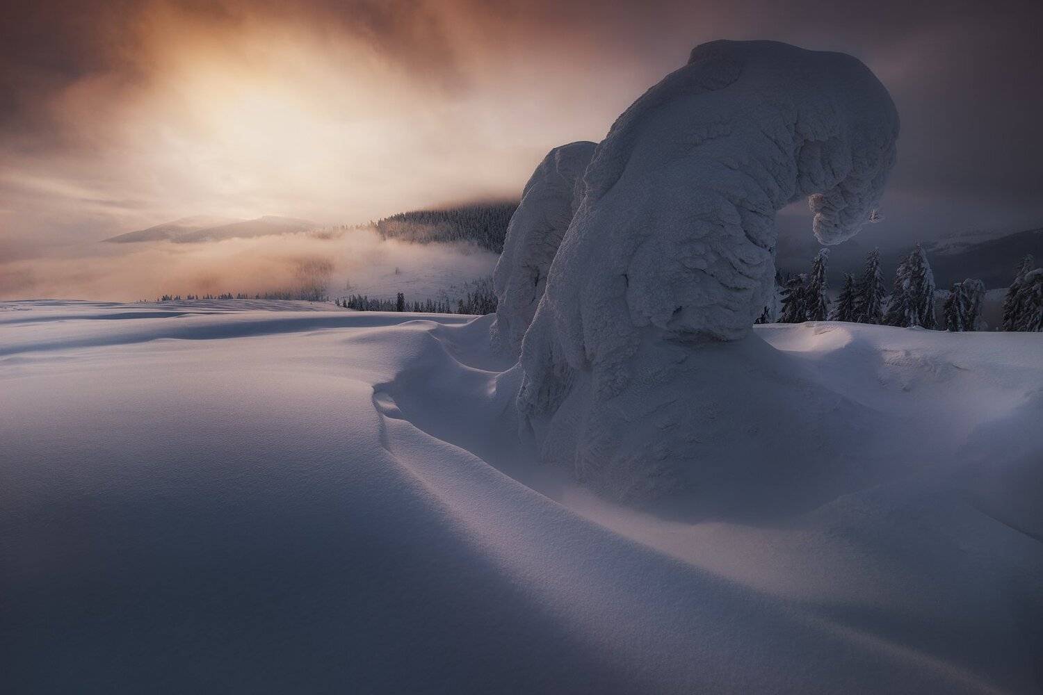 , Szabo Zsolt Andras