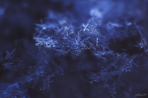 Царство кристаллов