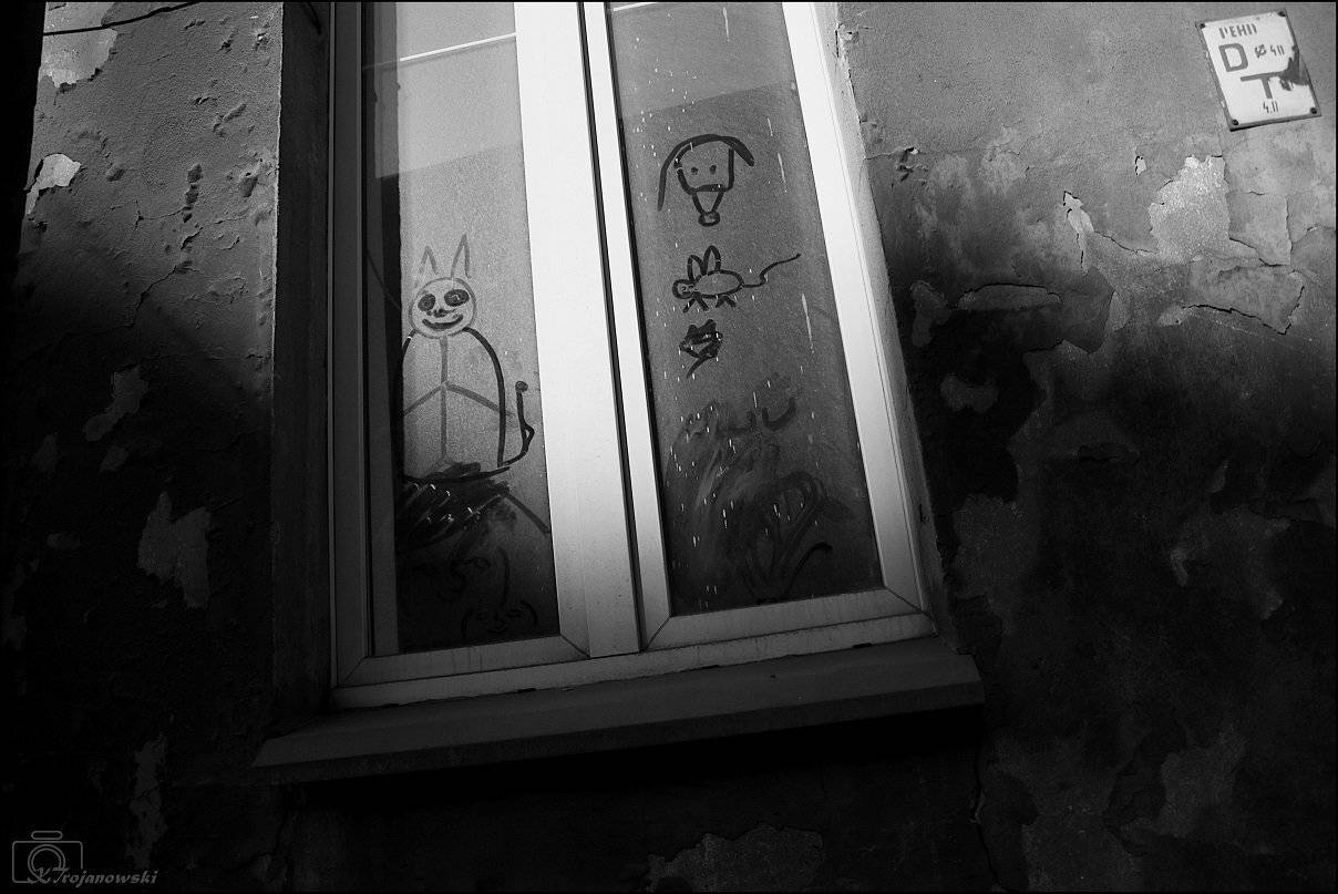 , Krzysztof Trojanowski