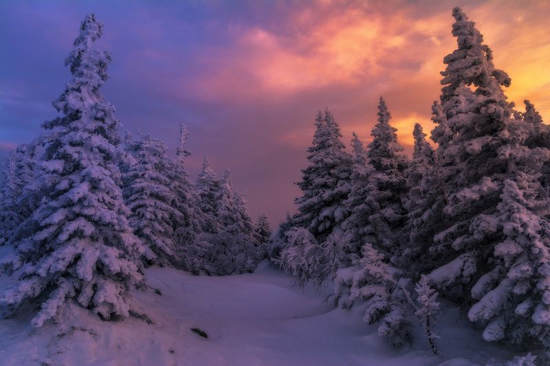 ******* фото превью