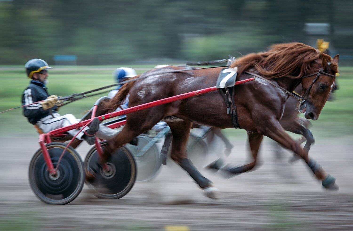 , Юрий Юрьев