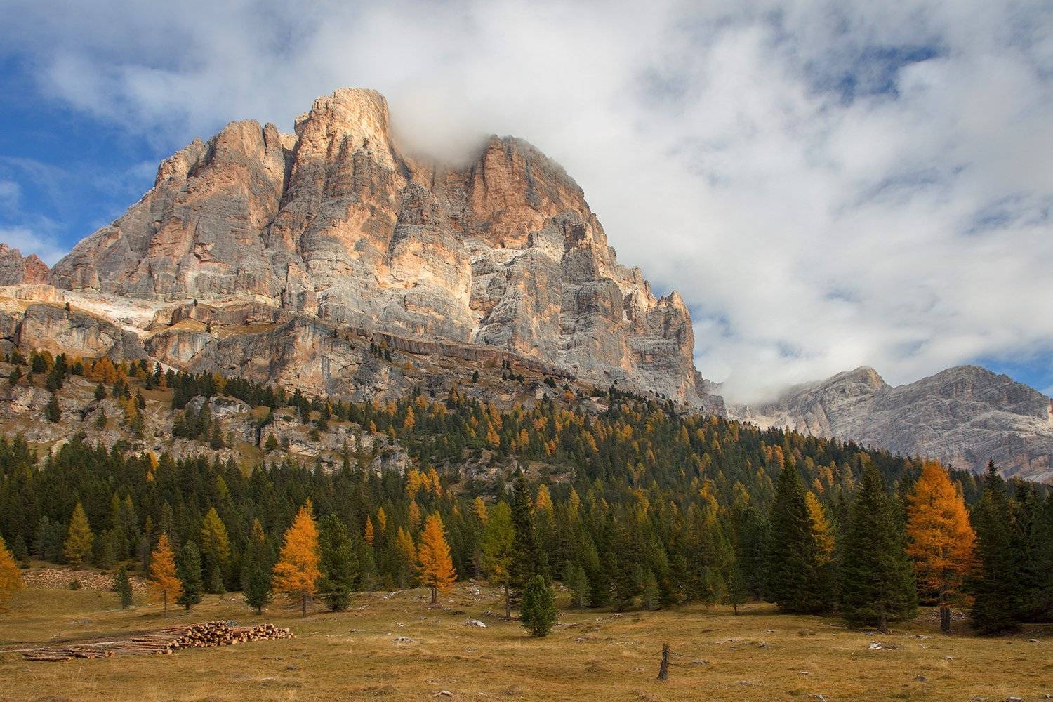 , Игорь Дубровский