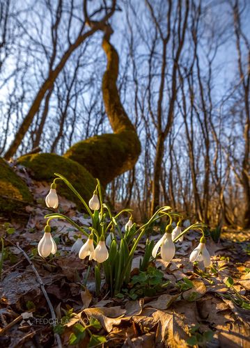 Встречаем первый день весны!