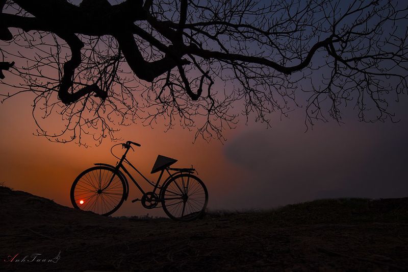 Sunset фото превью