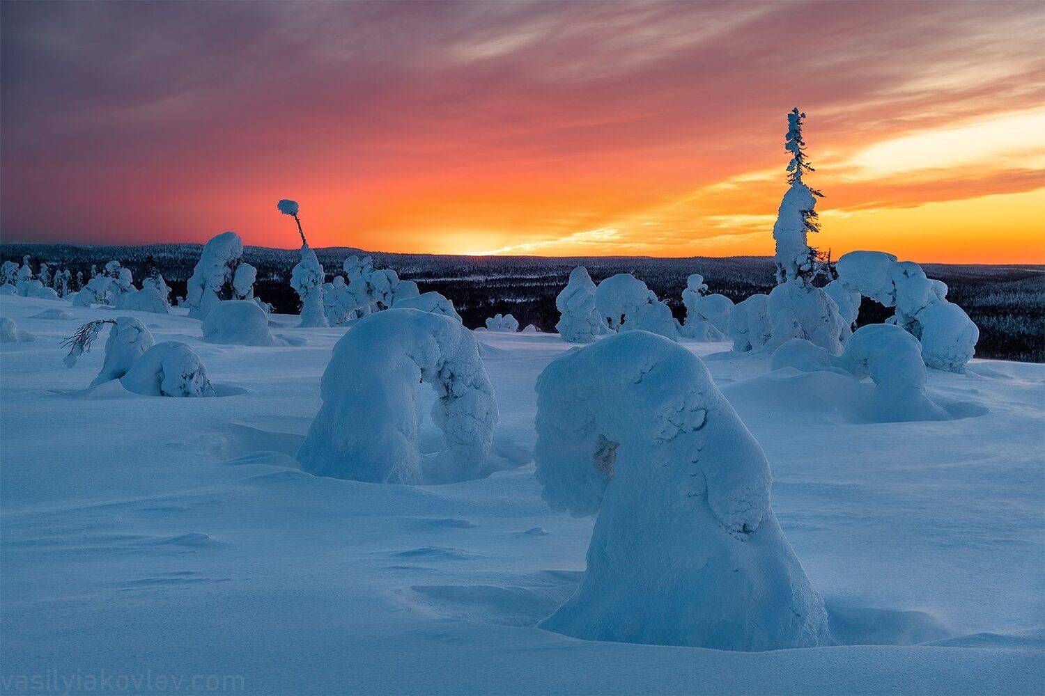 финляндия, лапландия, зима, Василий Яковлев