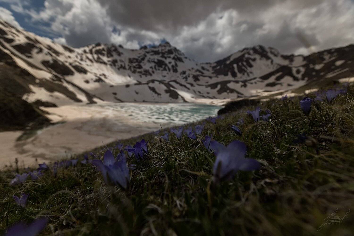 , Юрий Головченко