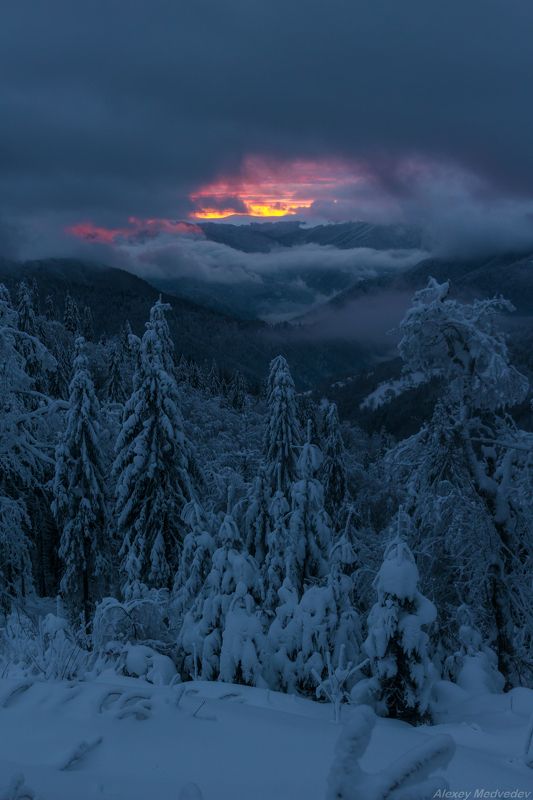 горы, гори, закарпаття, зима, карпати, свидовець, лопухів, лопухов, свидовец, карпаты, закарпатье, ночь В ожидании фото превью