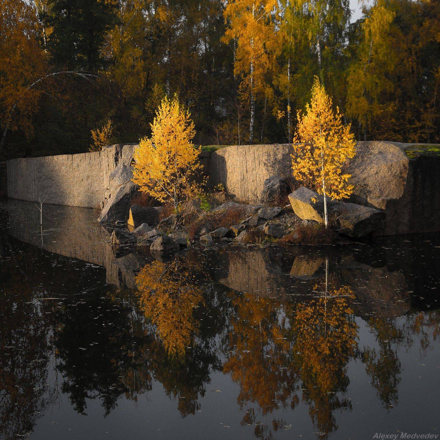 корнин, осень, березы, фастовский, район, карьер, украина, лес, озеро, скалы, , Алексей Медведев