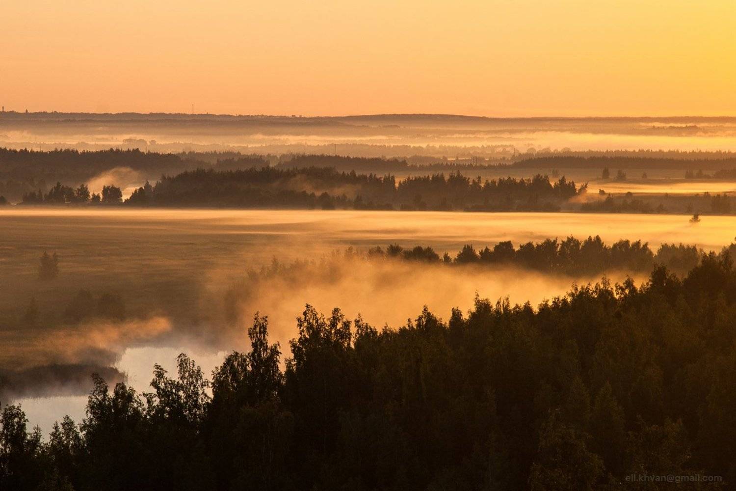 , Элина Хван