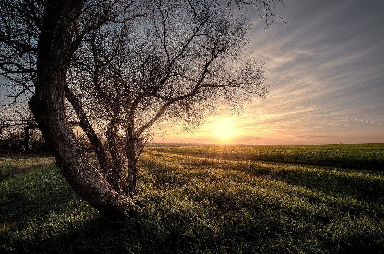 , Сергей Москалянов