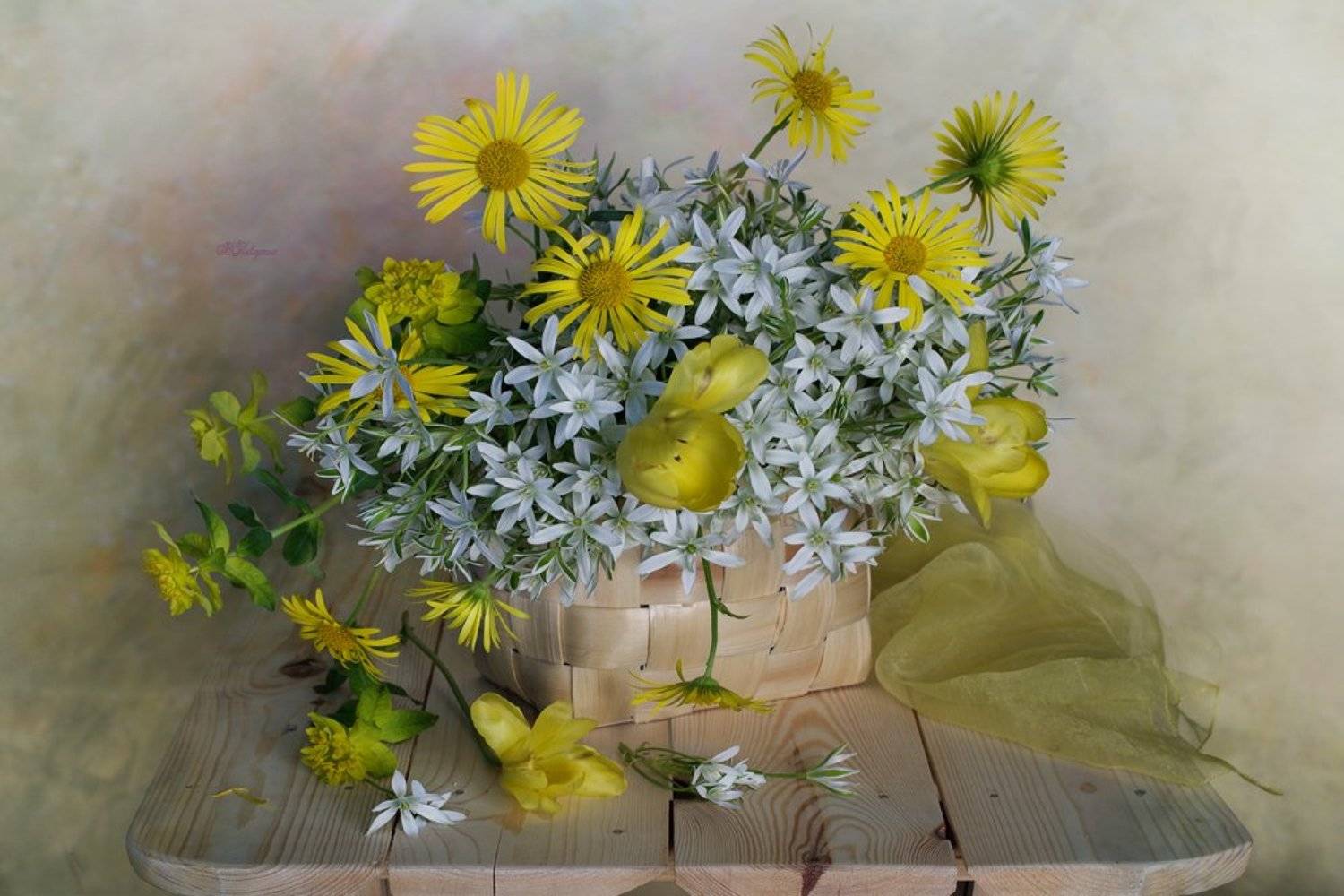 весна,цветы, вера павлухина,натюрморт,, Вера  Павлухина