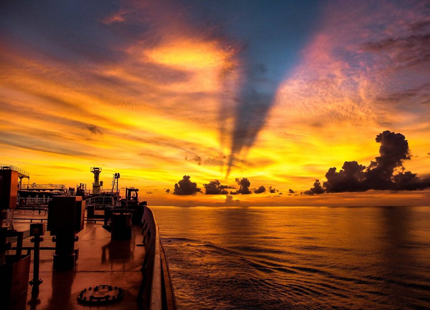 , Дмитрий Несветайлов