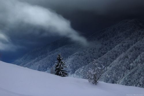 Протягивают ночные облака