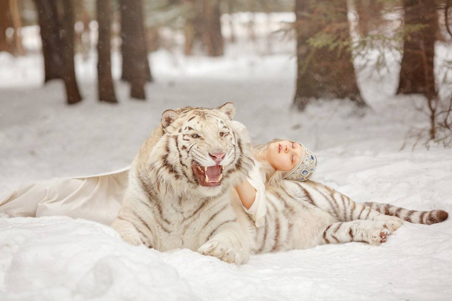 тигр, Светлана Никотина