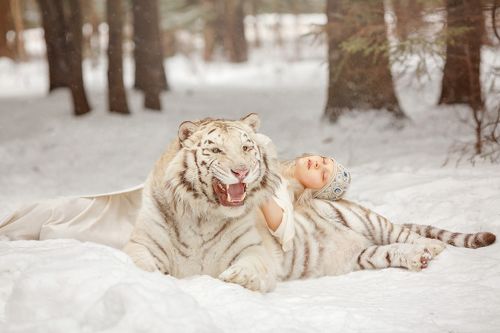Dream