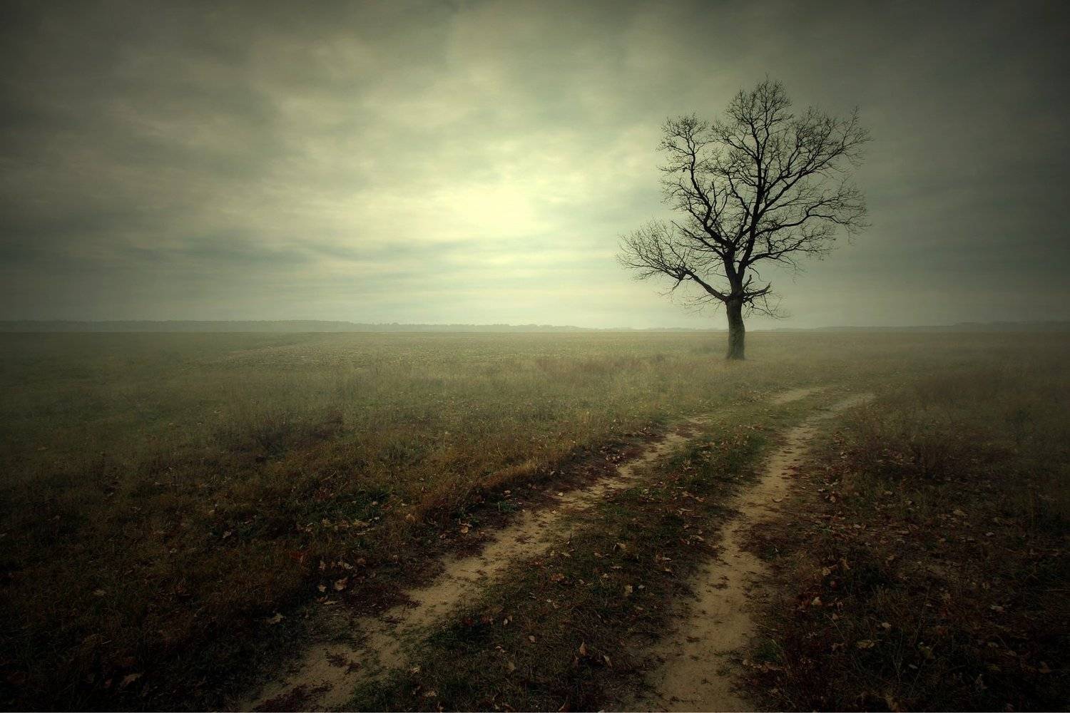 field autumn gomel belarus road, Иванчиков Дмитрий