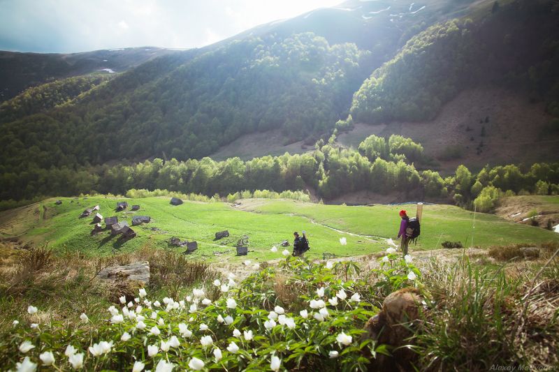 карпаты, свидовец, весна, май, зеленый, полонина, туристы, ярошевская, ярошевська, колыбы Полонина Ярошевська фото превью