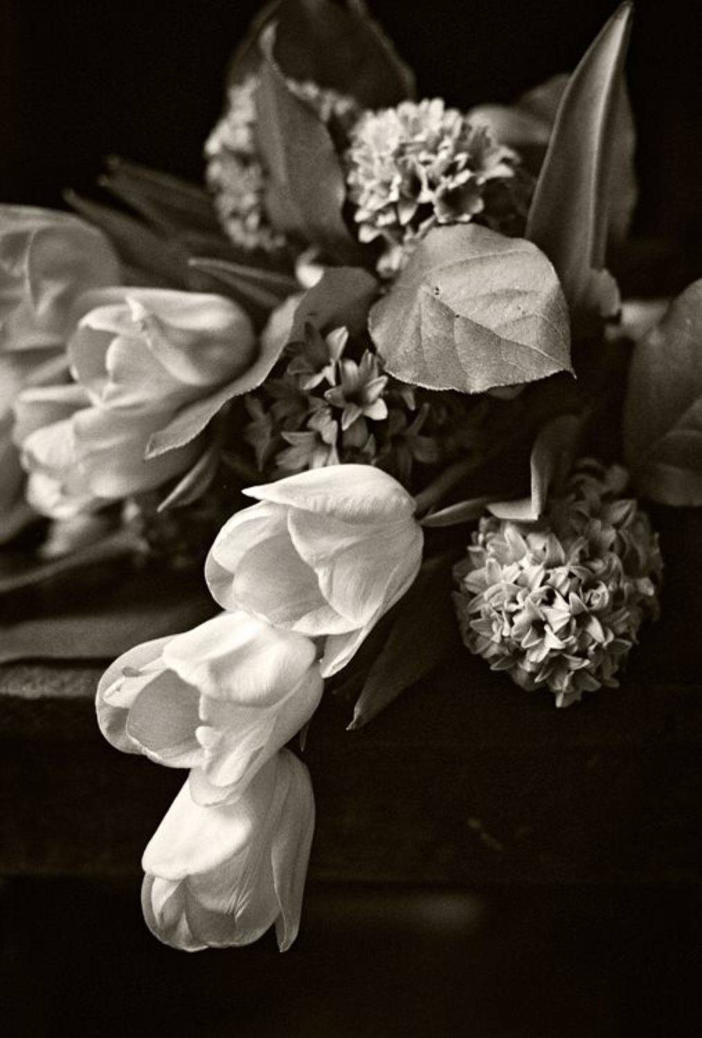 , Олег Вахник