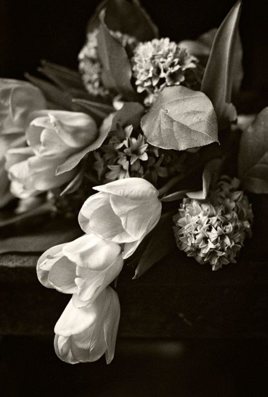 ... фото превью