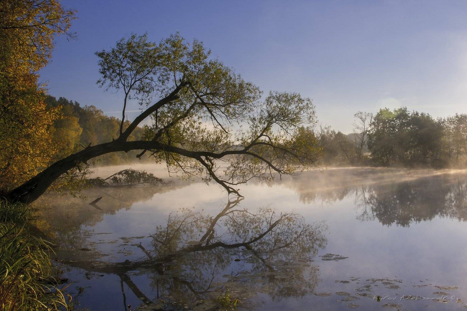 , Александр Кыров