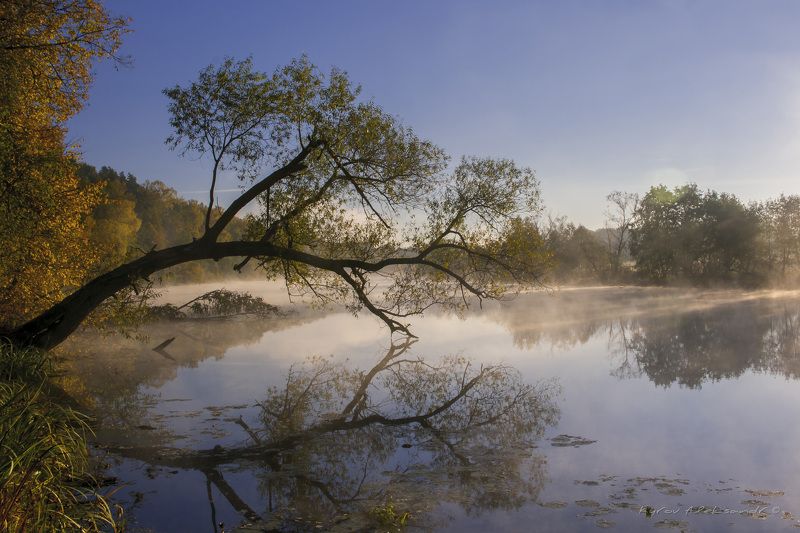 Подмосковная осень фото превью