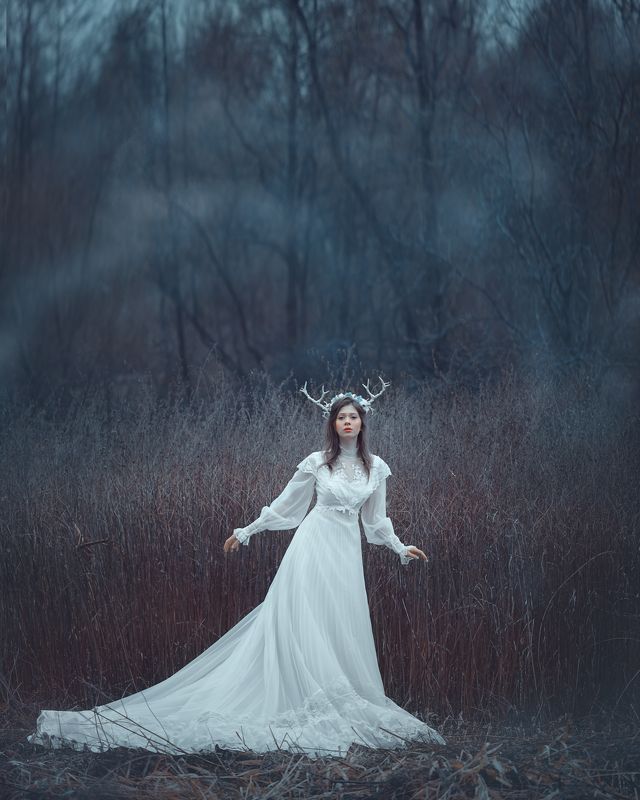 Бемби фото превью