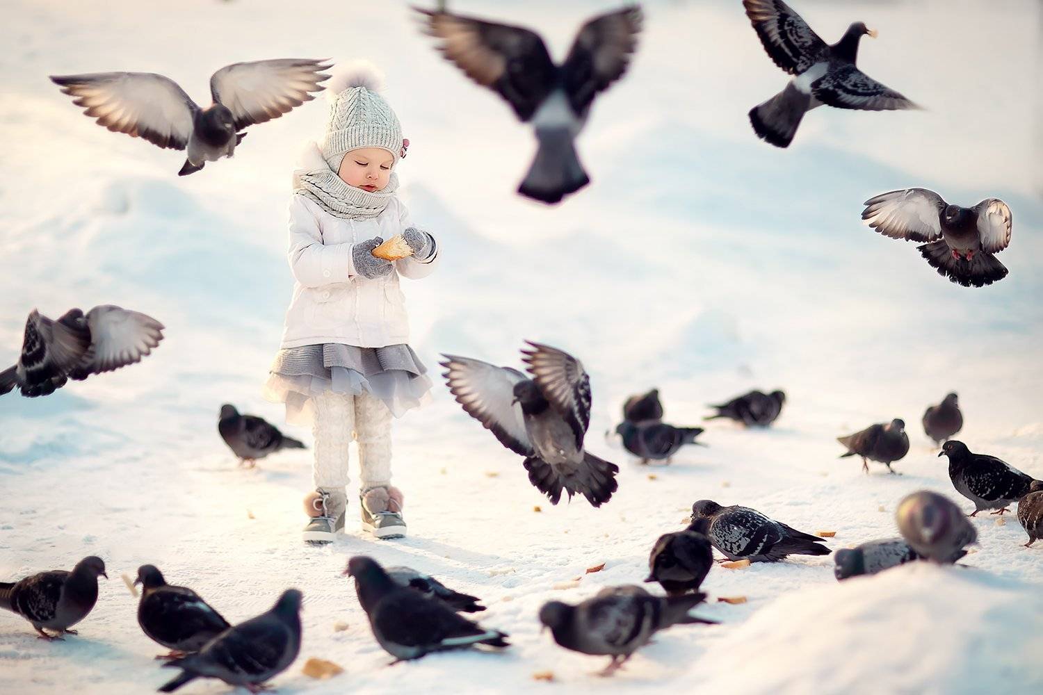 голуби девочка, Екатерина Белоножкина