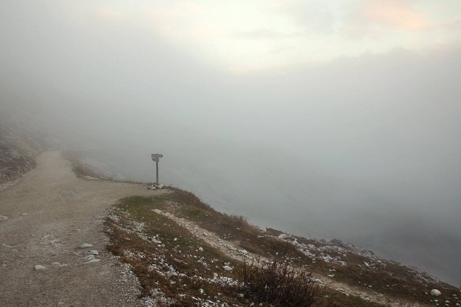 , Игорь Дубровский