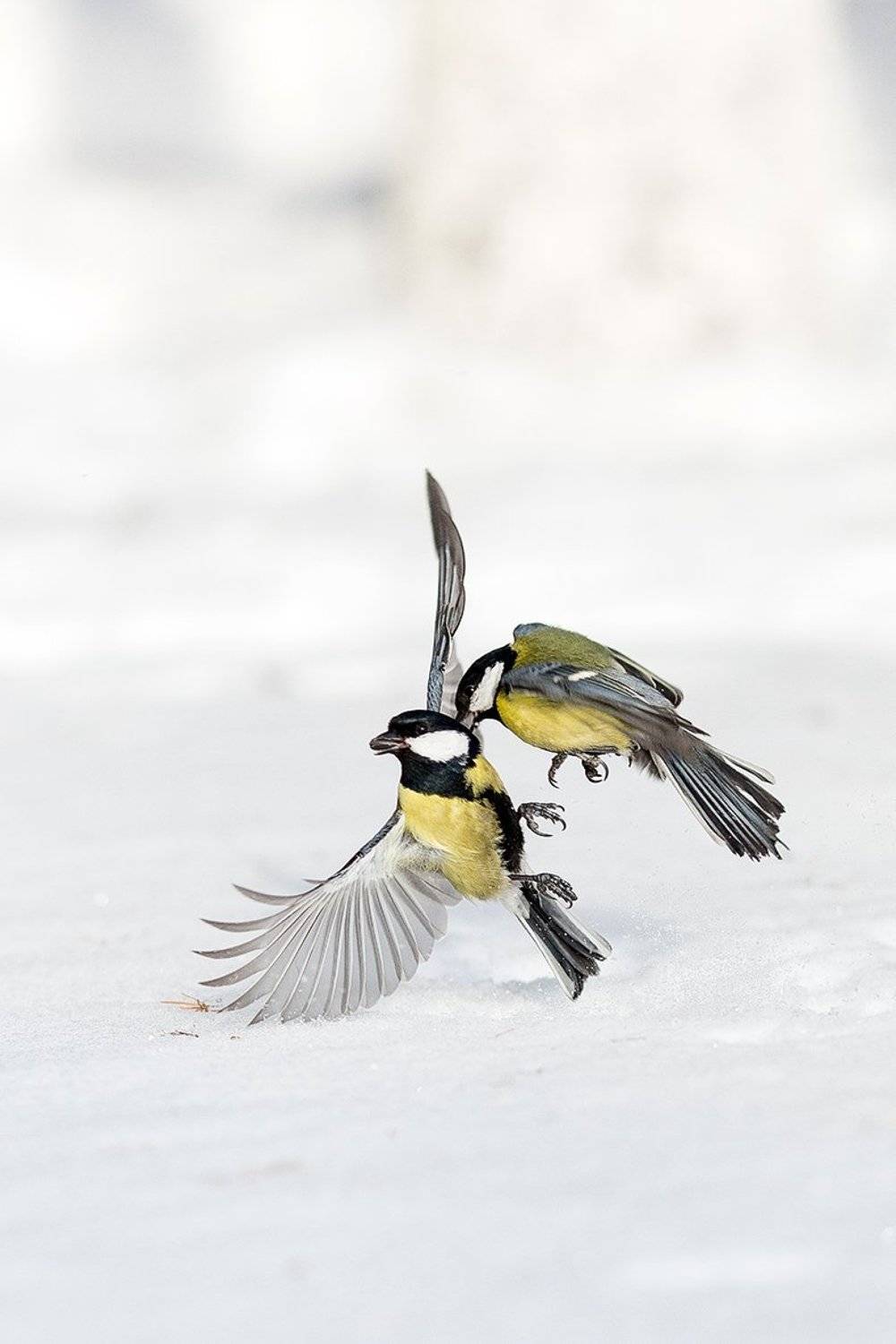 , Сосновских Вячеслав