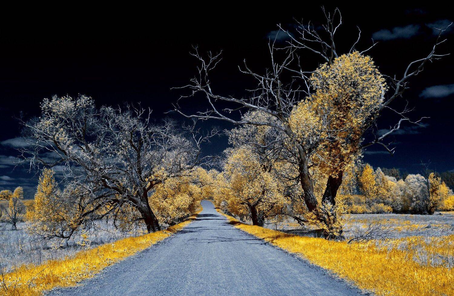 infrared,ик-фото,инфракрасное фото, инфракрасная фотография, пейзаж, весна, беларусь, Sixten ( Сергей )