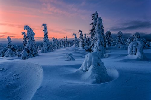 The Ice Age...