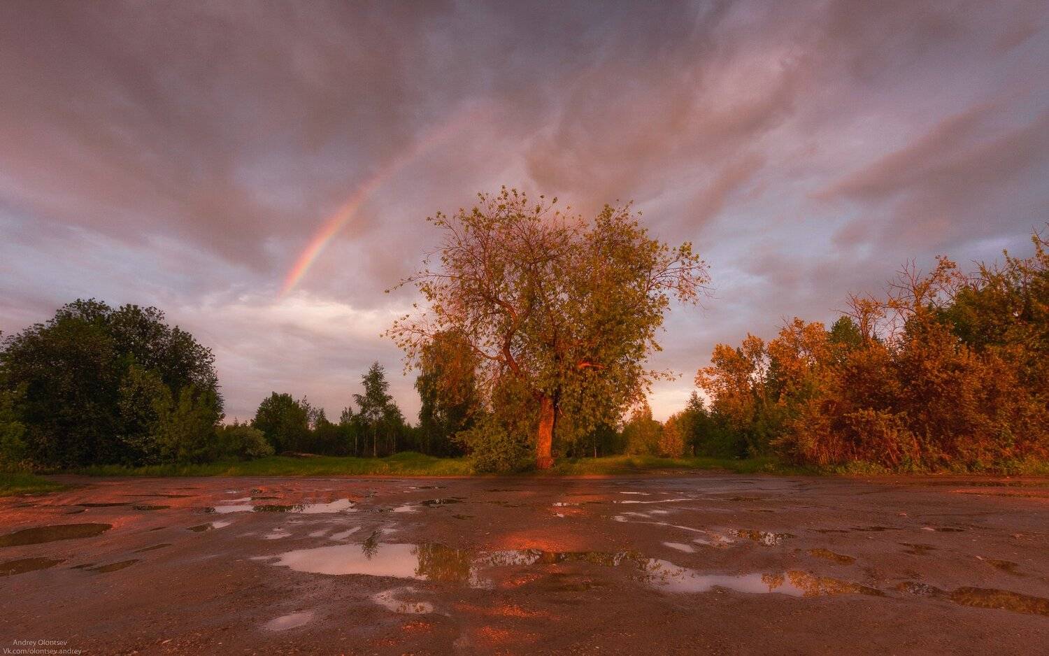 солнце, россия, рассвет, природа, подмосковье, погода, пейзажи, пейзаж, отражение, наукоград, красота, дубна, вода, весна, weather, water, spring, russia, reflection, naukograd, nature, moscow, landscape, dawn, canon dubna, beauty, Андрей Олонцев