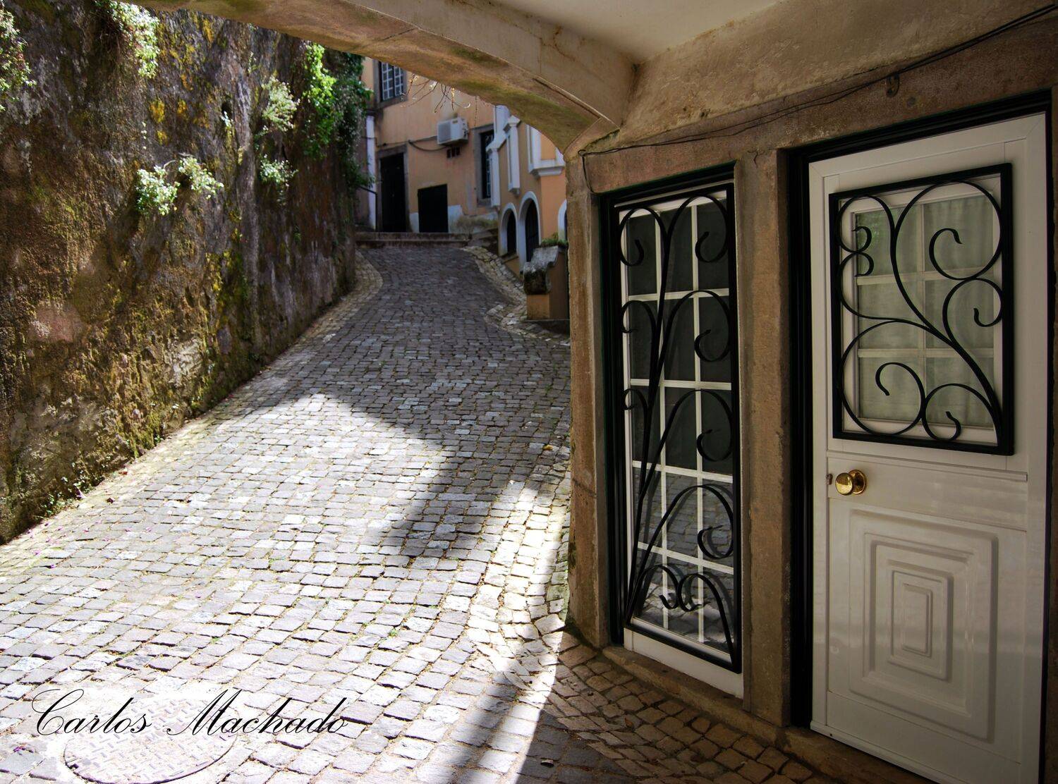 Street, Travel, City, Carlos Machado