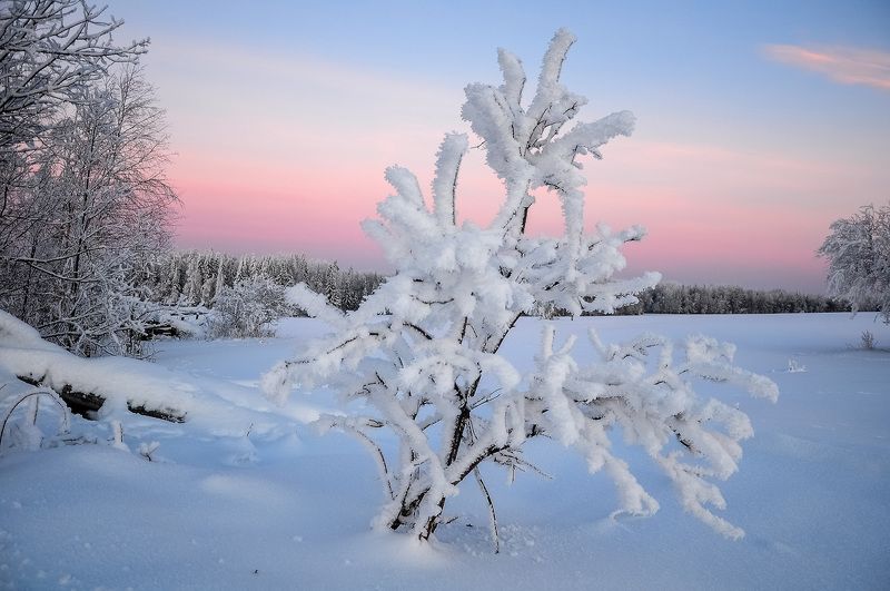удмуртия, зима, иней,кез Перед рассветом фото превью